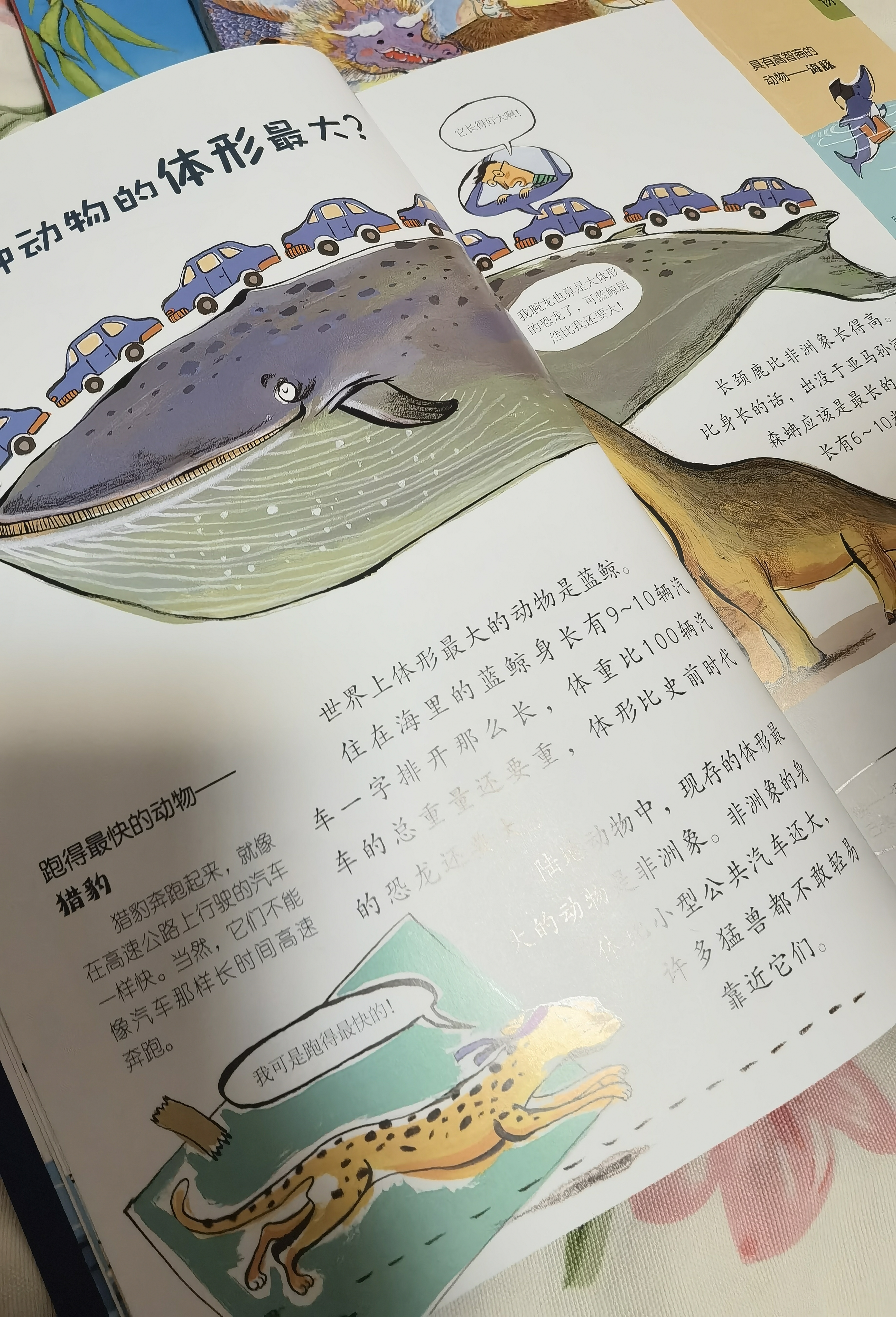 儿童好奇心大百科1+2（畅销15年儿童科普绘本 满足孩子好奇心 提高科学素养 套装2册 ）六一儿童节礼物女孩男孩  实拍图