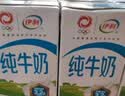 伊利全脂纯牛奶 250ml*18盒 每100ml含3.3g蛋白质 礼盒装 实拍图