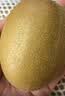 佳沛（zespri）新西兰阳光金奇异果10粒巨大果单果146-175g 猕猴桃水果礼盒 实拍图