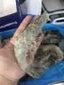 鲜京采 原装进口厄瓜多尔白虾 净重3.3斤 大号30-40规格 50-66只/盒 实拍图
