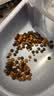 麦富迪猫罐头 浓汁猫罐头猫咪零食成幼猫补水亮毛混合装85g*24罐 实拍图
