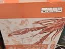 今锦上十三香小龙虾3斤 4-6钱 净虾1.5斤 中号25-33只 加热即食26年新虾 实拍图