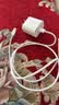 Apple/苹果 【20W线充套装】20W快充充电器+60W-typec充电线 全新原装正品 实拍图