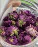 贡苑玫瑰花茶 特级花冠【香浓高精油】平阴无硫重瓣玫瑰花干泡水35g 实拍图