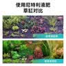 尼特利水草液肥基肥营养液不伤鱼草缸肥料鱼缸植物综合肥350ml 实拍图