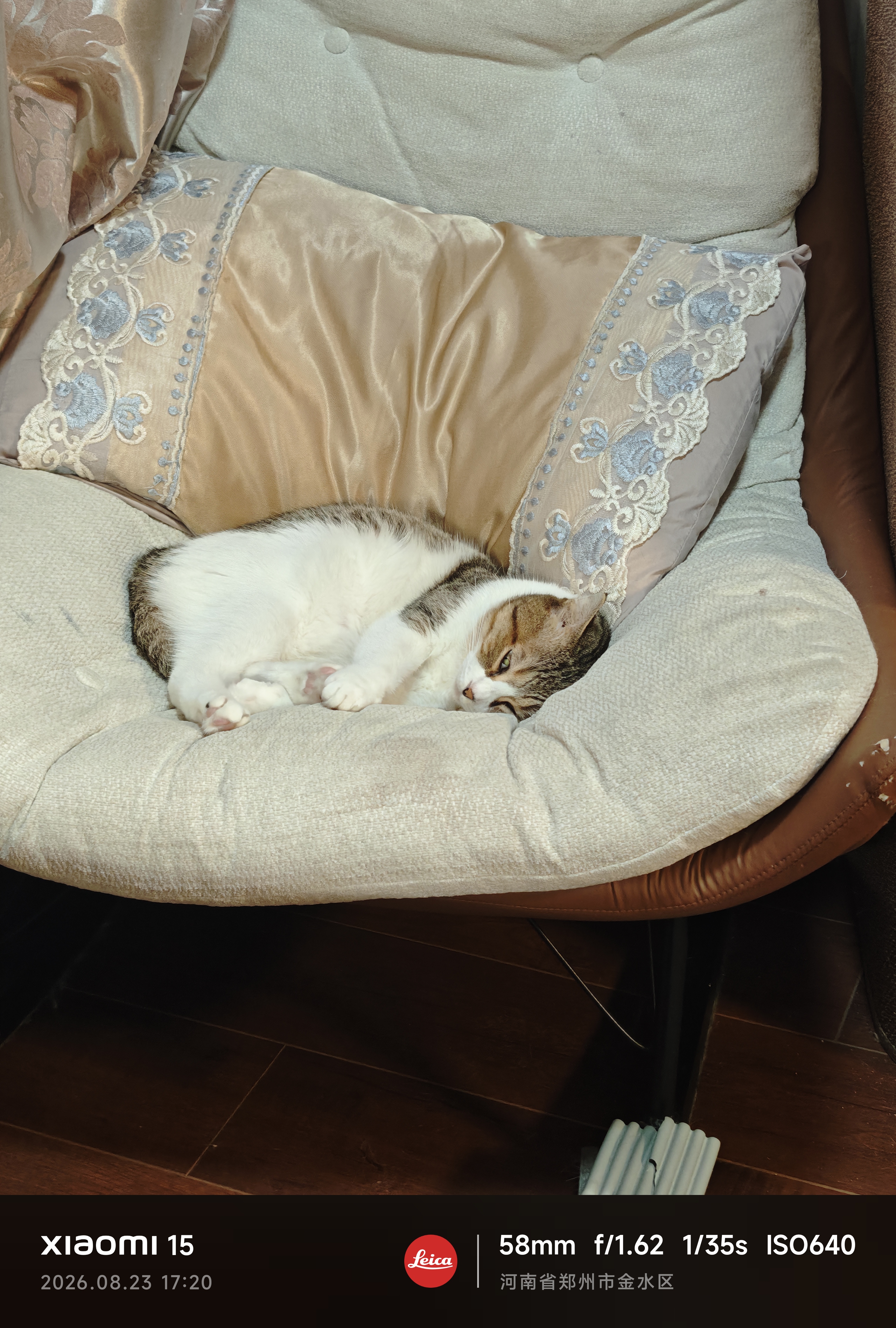 欢宠网猫笼子猫产房猫咪帐篷猫窝隔离笼宠物猫猫幼猫小猫生产待产屋猫房 实拍图