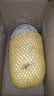 河南小冬瓜 新鲜现摘蔬菜 迷你水果冬瓜 火锅煲汤炒菜 水果冬瓜净重3.5斤-4.5斤 实拍图