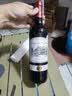 CANIS FAMILIARIS法国原瓶进口波尔多AOC红酒  传承干红葡萄酒750ml*6支装中秋送礼 实拍图