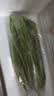 宽扁豆300g(刀豆)  实拍图