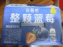 伊利安慕希整颗蓝莓 风味常温酸奶200g*8瓶/箱 中秋礼品 礼盒装 实拍图