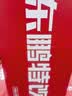 东鹏特饮【张雪机车同款】有奖版维生素功能运动饮料 500ml*24瓶*2箱 实拍图