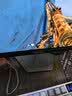 AOC爱攻昊天Max 27英寸QD-OLED Gen.3五层堆叠 4K240Hz 10Bit  DP2.1  0.03ms低蓝电竞显示器AG276UZD 实拍图
