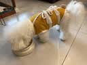 领先全价鲜肉烘焙狗粮中小型犬博美鸭肉梨50g试吃(新老包装随机发） 实拍图