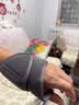 辽远【红光热敷】充电加热护手腕腱鞘炎按摩仪手腕热敷按摩器加热手腕tfcc女士手腕疼礼盒送家人长辈 实拍图