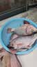 佳能（Glad）食品级保鲜袋超大号200个 平口点断式食品袋 生鲜蔬果保鲜RP30 实拍图
