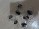 新边界九蒸九晒黑金枣500g 新疆特产去皮去核灰枣红枣独立包装即食枣子 实拍图