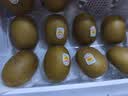 佳沛（zespri）新西兰金奇异果12粒特大果124-146g猕猴桃中秋节礼品送水果礼盒 实拍图
