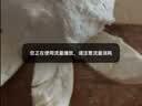 京鲜生福建红心蜜柚/柚子 2粒 净重3-4斤装 生鲜中秋水果 实拍图