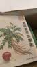 忆江南苹果黄芪水麦冬须根枸杞茶150g补茶包气血养生茶教师节礼物 实拍图