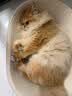 网易严选猫粮【推荐】全价猫粮 幼猫成猫主粮猫咪食品 一口9种肉 【多猫家庭】原野禽肉口味 10kg*1袋 实拍图