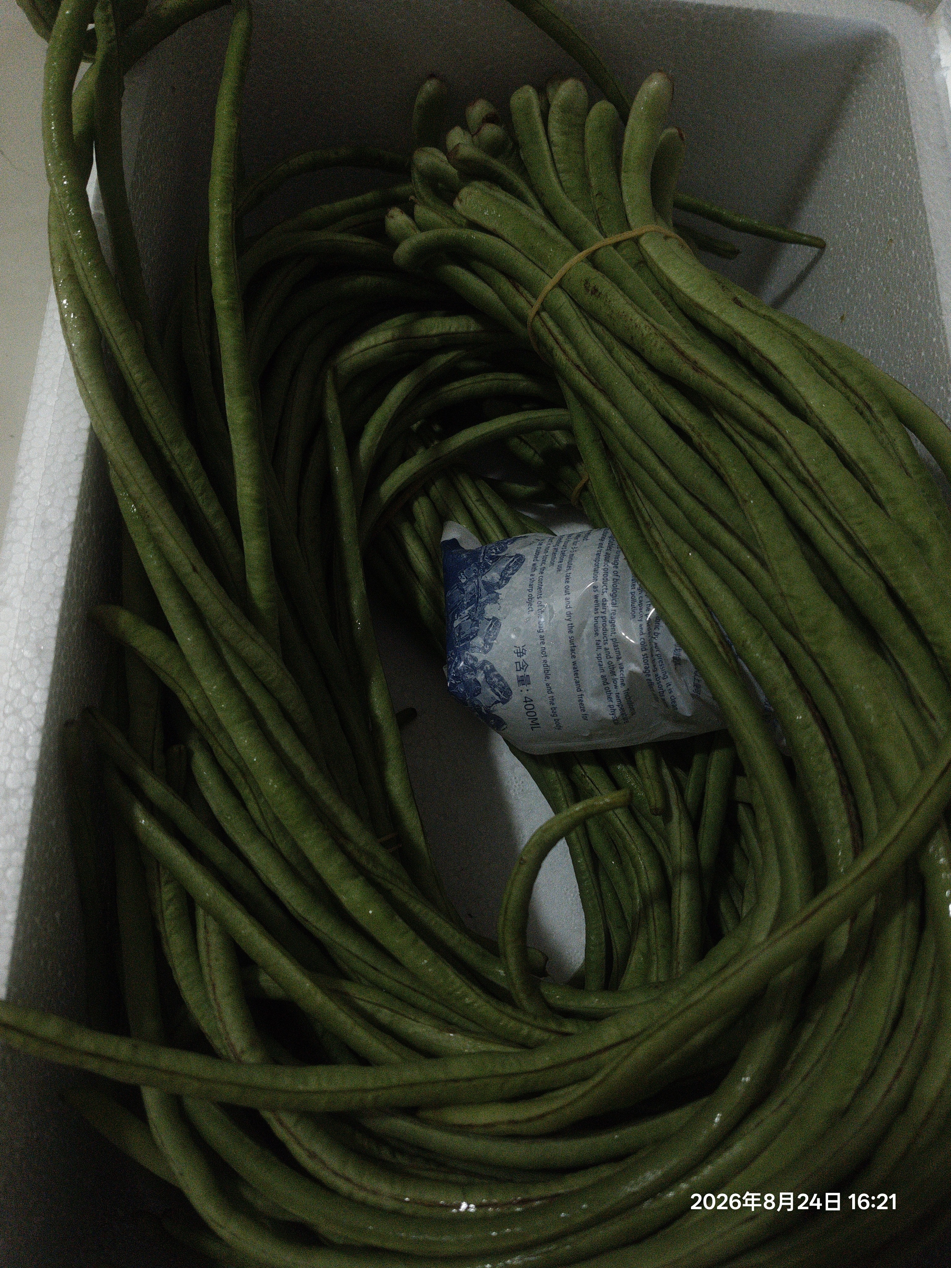 山东莘县大棚豇豆新鲜长豆角凉拌菜脆嫩鲜甜 农家精选带箱6斤装（净重5.2斤） 实拍图