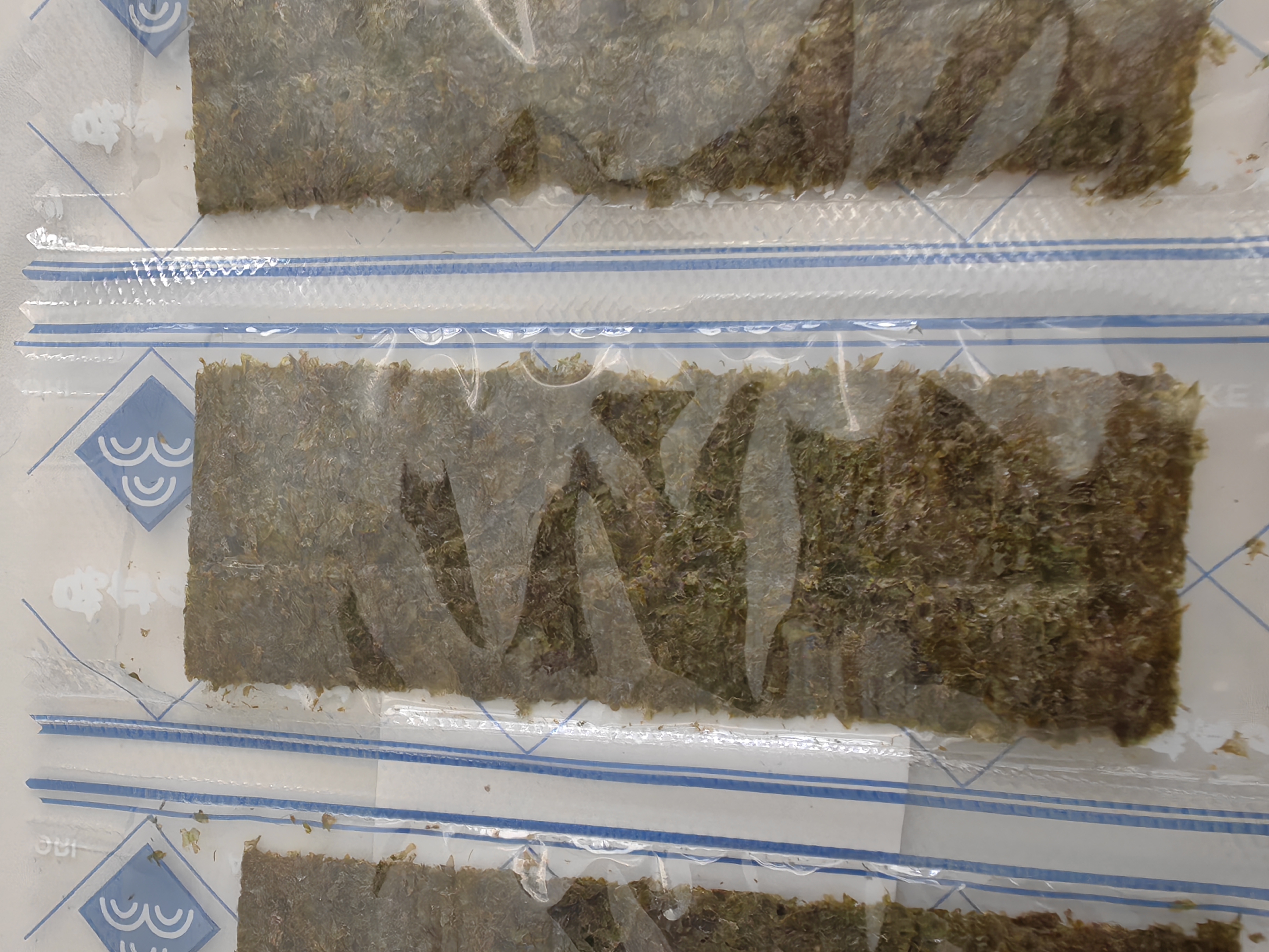 网红鲜海苔片即食烤紫菜儿童女士健康休闲上班族零食寿司独立包装 海苔片12包24片活动专享 实拍图
