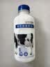 辉山（Huishan）鲜博士鲜牛奶 全脂纯牛奶 巴氏杀菌 485ml（500g）*3 实拍图