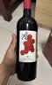 京东京造特选6 鸿干红葡萄酒750ml*6瓶整箱装 红酒 新疆 送礼 金奖 实拍图