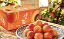 京鲜生 新疆吊干杏 净重2斤 单果12g+ 新鲜应季水果 8分甜2分酸 实拍图