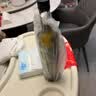 爷爷的农场核桃油热炒油500ml 进口辅食用油凉拌 送宝宝婴儿辅食谱1岁以上 实拍图