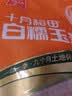 十月稻田 白糯玉米 8根 4.16斤 真空包装 东北甜粘玉米棒 低脂早餐 实拍图