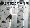 轻上（LIGHT UPPER）100%白桦树汁大兴安岭饮料送礼推荐245ml*20瓶 实拍图