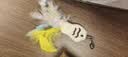 阿柴与猫猫玩具逗猫棒猫咪棒长杆羽毛钓幼小猫玩具鱼竿铃铛猫耐玩耐咬神器 实拍图