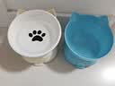 憨憨乐园猫碗陶瓷猫粮双碗斜口狗碗狗盆狗粮宠物幼猫咪吃饭食盆喝水喂食 实拍图