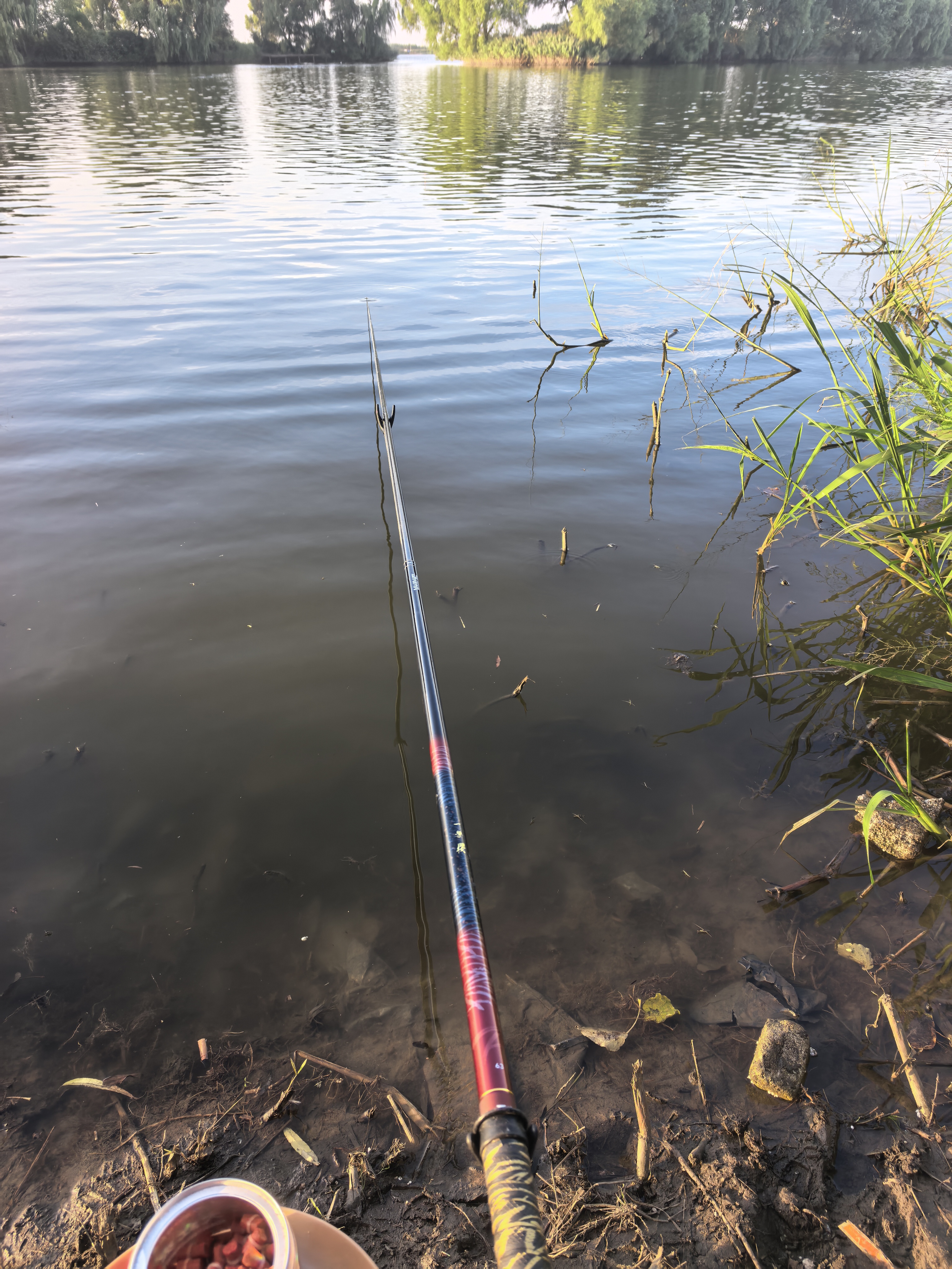 达亿瓦（DAIWA） 新款 一击樱 综合休闲手杆台钓竿轻碳素进口钓鱼竿钓杆 垂钓装备 F-6.3米 实拍图