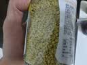 汪氏（wangs）油菜花粉160g 青海油菜蜂花粉 未破壁 新鲜花粉 0添加 七夕礼品 实拍图