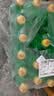 可口可乐（Coca-Cola）雪碧 Sprite 柠檬味 汽水 碳酸饮料 500ml*24瓶 整箱装 实拍图