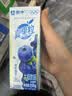 蒙牛真果粒蓝莓味牛奶饮品250g*12盒 新老包装 中秋送礼礼盒 实拍图