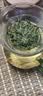 八百秀才2026年明前春茶清香新茶广东茗茶英德绿茶高档礼盒装150g送礼佳品 实拍图