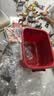 纽奇儿童动物模型玩具男女孩仿真野生动物园套装启蒙认知玩具生日礼物 实拍图