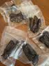 达派（dapai）德国真空封口机家用商用干湿两用全自动抽真空包装真空食品保鲜机塑封机抽腊肉真空封口 店长推荐【干湿两用】下单享袋子 实拍图