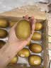 佳沛（zespri）新西兰金奇异果15粒巨大果146-175g猕猴桃中秋节礼品送水果礼盒 实拍图
