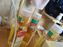农夫山泉东方树叶茉莉花茶500ml*15瓶无糖茶饮料0糖0脂0卡整箱装 实拍图