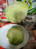 球生菜400g 实拍图