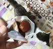 盐津铺子鹌鹑蛋混合口味约400g约60颗盐焗香卤休闲食品富硒卤蛋零食大礼包 实拍图