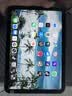 Apple苹果iPad mini5/6 iPadair3/4 2021款iPadPro二手平板电脑 iPad mini6 5G插卡版 256G WIFI版 95成新 实拍图