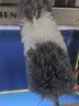 五月花多功能旋转缝隙刷子四合一无死角硬毛刷厕所刷地刷自带刮板毛发夹 实拍图