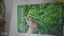 ldeal理想农业 生菜种子四季耐抽薹蔬菜种籽盆栽种植生菜种子 约5000粒 实拍图