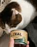ZEAL【试吃尝鲜 时效到26年11月】狗狗主食罐头170g随机新西兰进口 实拍图