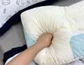 红豆A类抗菌枕头枕芯护颈枕睡眠颈椎病深度睡觉专用低枕48*74cm一对装 实拍图